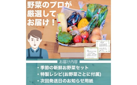定期便 1年間 12回 野菜 詰め合わせ 産地直送 セット  (12~13品程度 ) （ きゅうり なす パプリカ ピーマン れんこん ブロッコリー にんじん 人参 トマト 玉ねぎ タマネギ 野菜 ベ