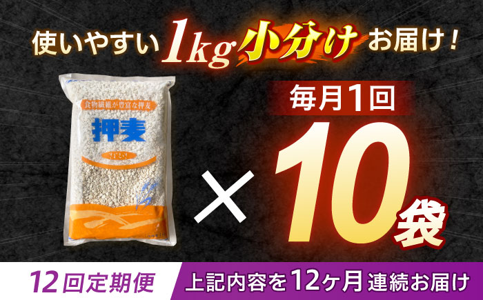 【全12回定期便】 押麦「長崎100年麦 御島裸」1kg×10袋 計10kg / 麦 むぎ 押麦 はだか麦 麦味噌 雑穀 雑穀米 食物繊維 小分け / 諫早市 / 有限会社伊東精麦 [AHBU012]