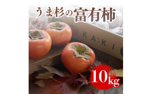 【先行予約】うま杉の富有柿 10kg 36玉(2L) ｜富有柿 柿 ふゆうがき かき カキ 旬 フルーツ くだもの 果物 贈答用 家庭用 ギフト 贈り物 スイーツ おやつお取り寄せ お取り寄せグルメ 秋の味覚 産地直送 先行 予約 富有柿家庭用 富有柿ギフト 富有柿くだもの 富有柿おやつ ※2026年11月中旬～12月中旬頃に順次発送予定