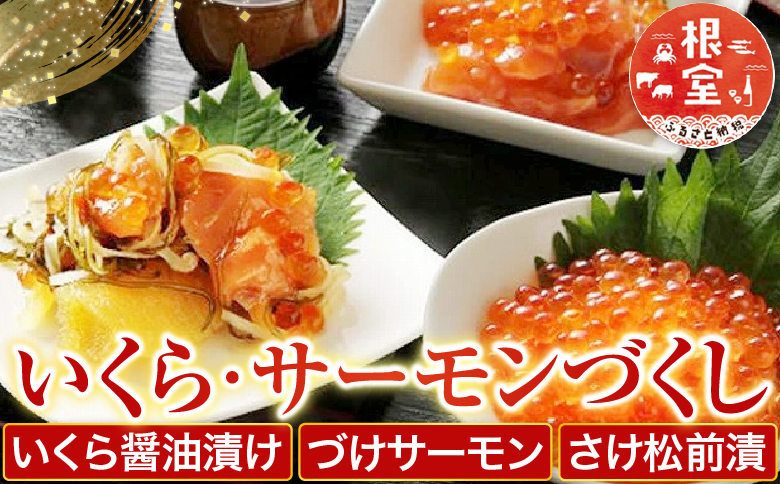 ＜12月21日決済分まで年内配送＞<鮭匠ふじい>いくら・サーモンづくし B-42016