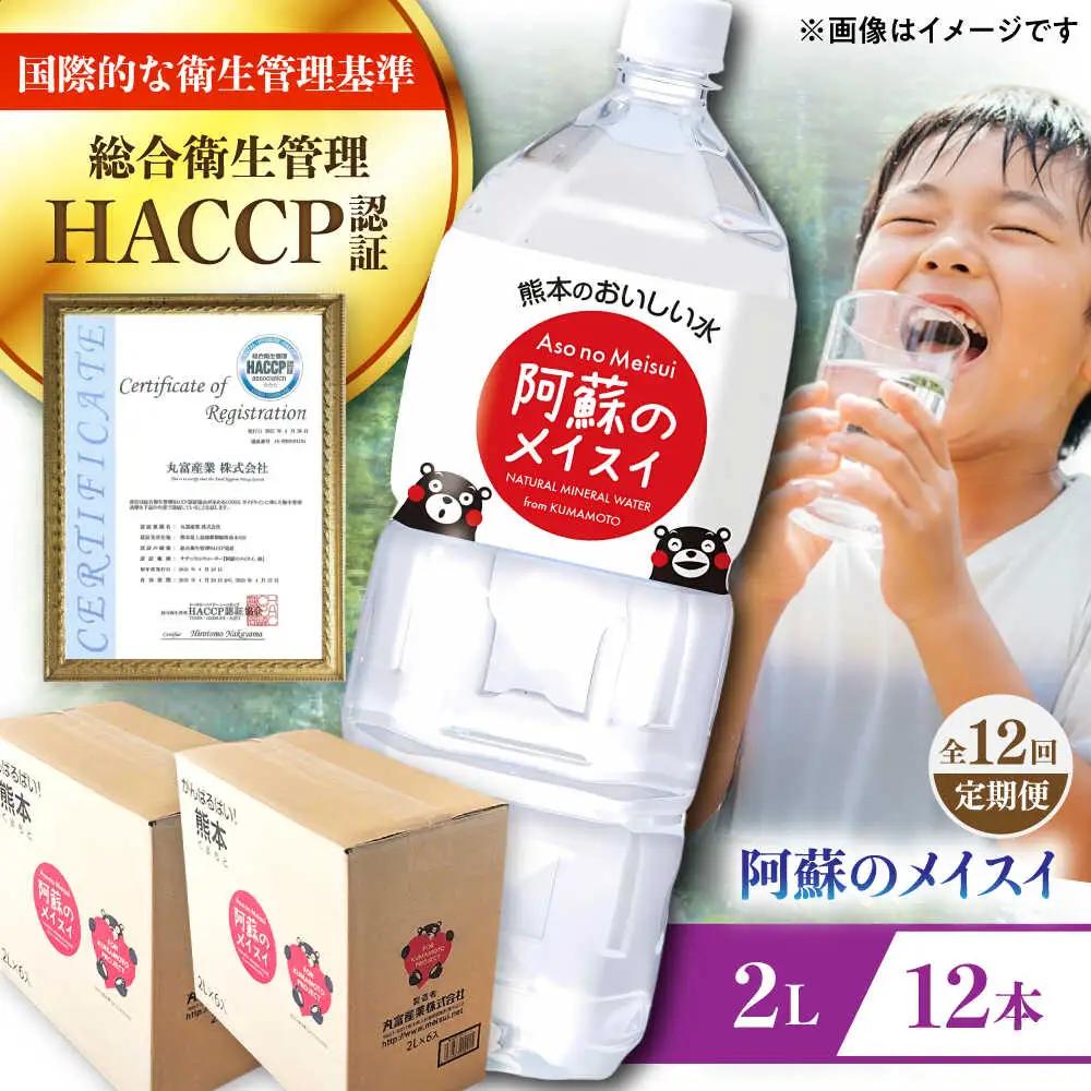 【全12回定期便】 阿蘇のメイスイ 2L 計12本(6本×2ケース) ドリンク BHDG030 ドリンク