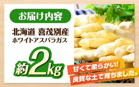 【先行予約】採れたて！ホワイトアスパラガス 約2kg アスパラ [AJAJ008]