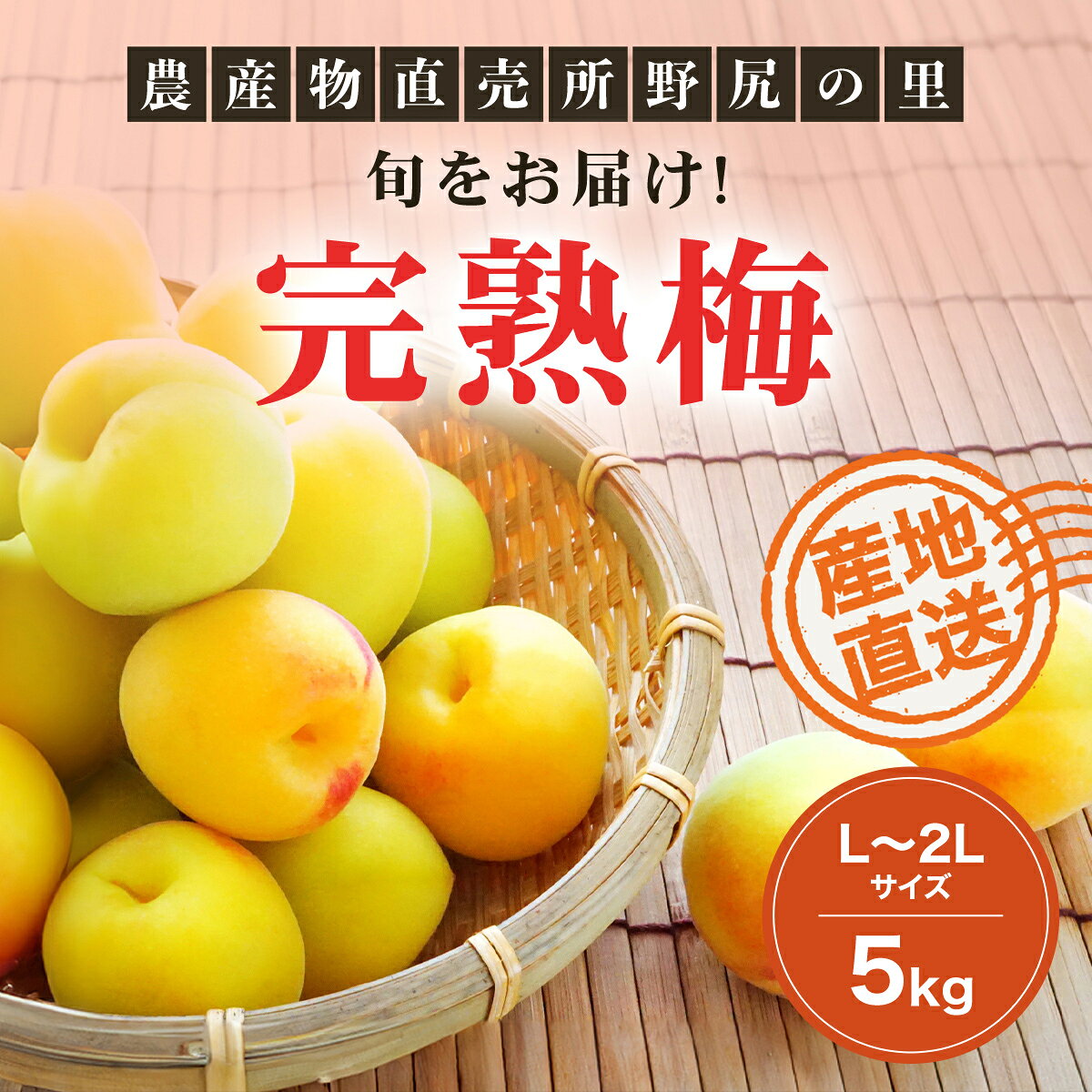 【ふるさと納税】旬をお届け!完熟梅【L～2Lサイズ5kg】 ANAR013