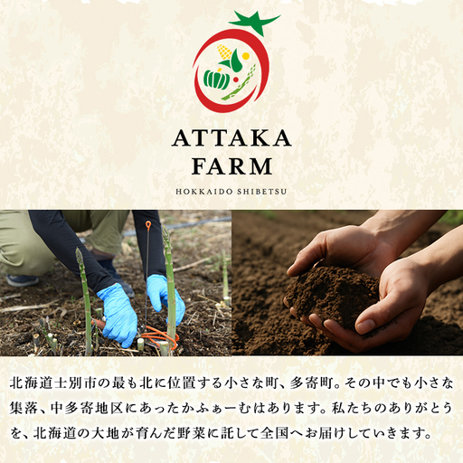 【B7052】＜特別栽培・期間限定＞北海道士別市産 朝採りグリーンアスパラ (M～2Lサイズ混合・1kg) 【2026年5月以降順次発送】野菜 アスパラ アスパラガス グリーンアスパラ 北海道 北海道
