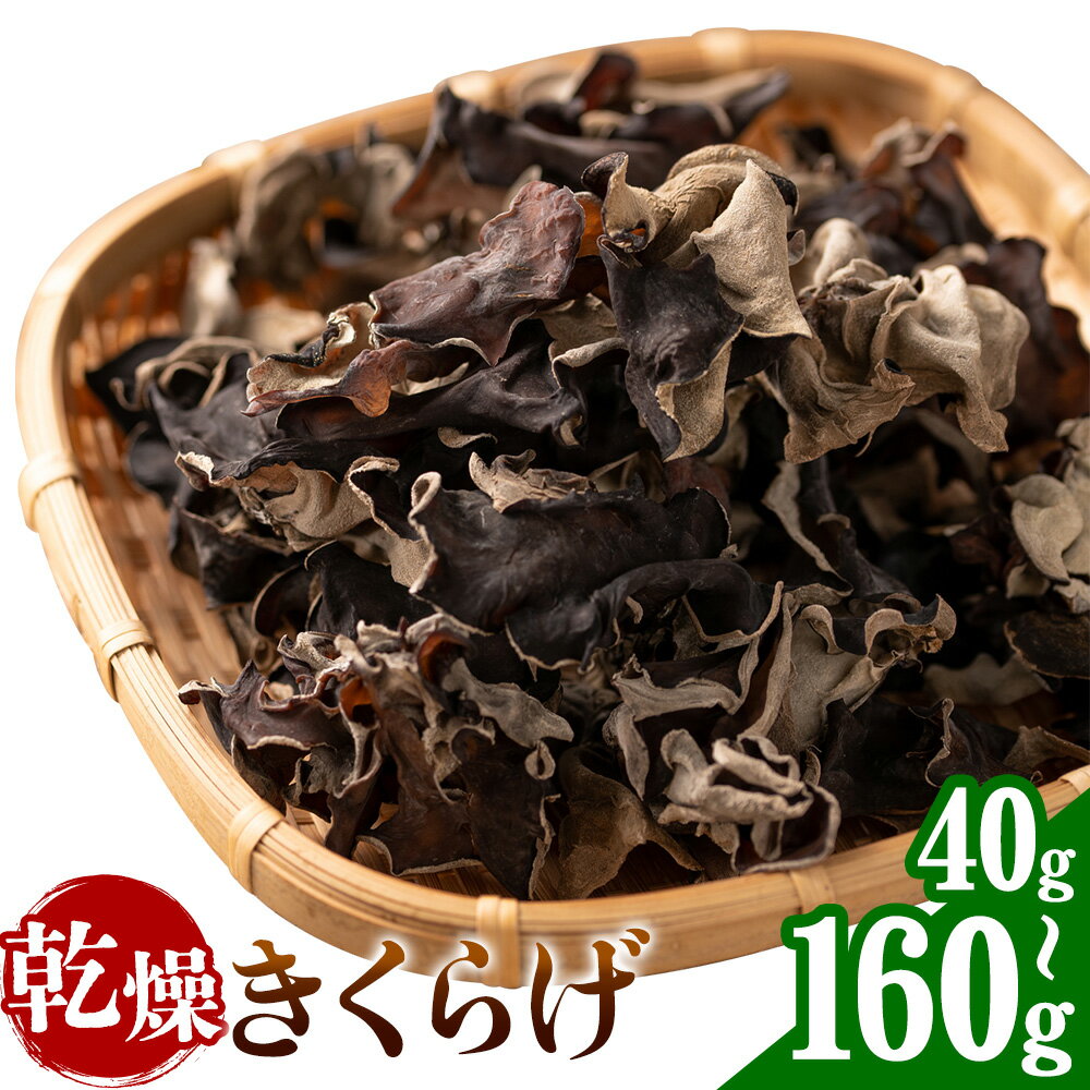【ふるさと納税】乾燥きくらげ 40g 100g 160g 鷹乃産業有限会社 《30日以内に出荷予定(土日祝除く)》熊本県 球磨郡 山江村 きくらげ きのこ 野菜