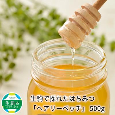 ふるさと納税 生駒市 生駒で採れた蜂蜜「ヘアリーベッチ」500g