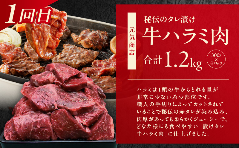1位獲得の肉 定期便 全3回【牛肉 焼肉 牛タン ハラミ 牛ヒレ お肉 福袋 訳あり サイズ不揃い 毎月配送コース】 099Z309_イメージ2