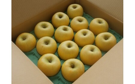 シナノゴールド りんご 贈答 約5kg  果物 シナノゴールド