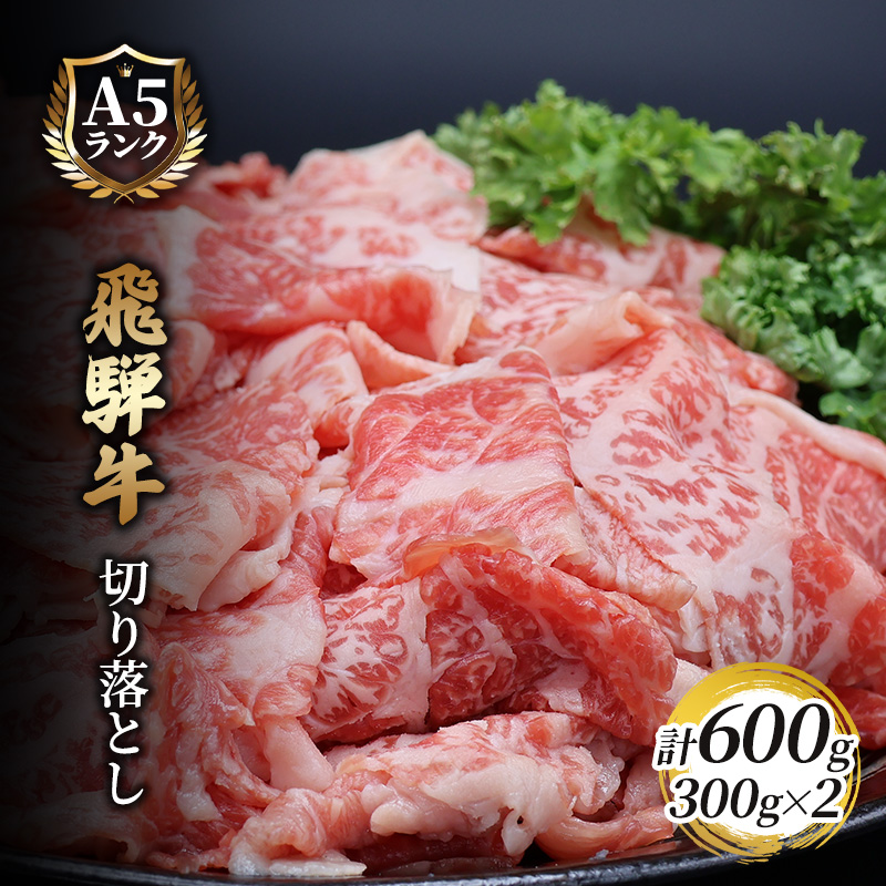 【CF】飛騨牛切り落とし　600ｇ(300g×2) 牛肉 お肉 国産 黒毛和種 柔らかい とろける くちどけが良い 霜降り 細かいサシ 食材 食卓 グルメ 