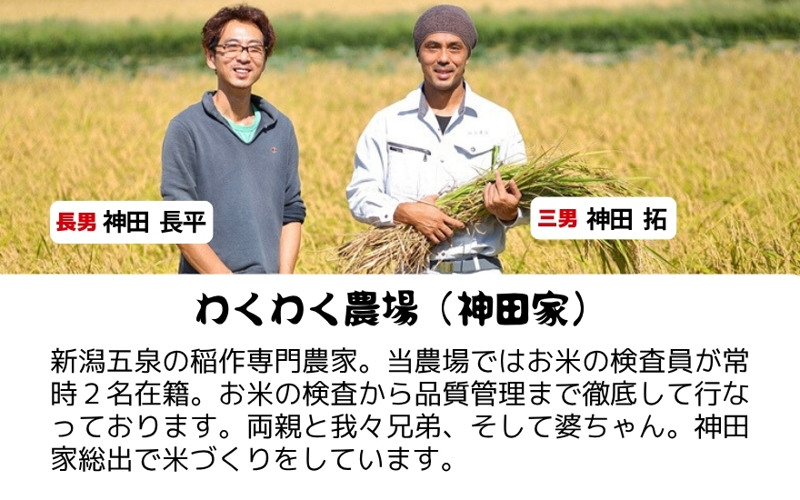 【先行予約】令和8年産【定期便 6ヶ月】米 10kg (5kg × 2袋)×6回 五泉産 新之助 | 白米 精米 しんのすけ お米 おこめ 新潟県 五泉市 わくわく農場