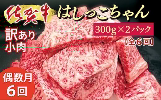 【6回定期便】佐賀牛小肉「はしっこちゃん」偶数月配送 全6回 定期便 _r-14