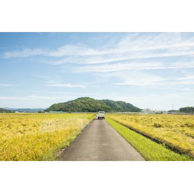 ふるさと納税 長浜市 【令和6年産】滋賀県長浜市　在来種　しっかり粒感を味わえる滋賀旭　5K白米 |  | 01