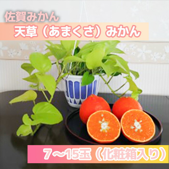 【ふるさと納税】天草（あまくさ）みかん7～15玉　3kg（化粧箱入り）（DV143）