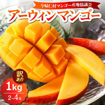 【ふるさと納税】【2026年6月下旬から順次発送】今帰仁産の完熟アップルマンゴー1kg～2kg(訳あり)【配送不可地域：離島】【G4014742】