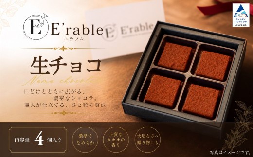 生チョコ 4個入り チョコ チョコレート ショコラ スイーツ 贈答 プレゼント | 石川県 小松市 エラブル 【E'rable ショコラトリー パティスリー】