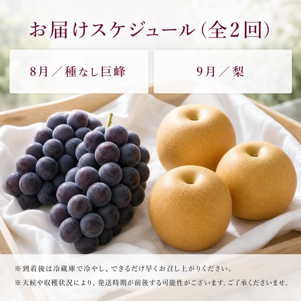 定期便 8・9月発送 紀州有田産旬のフルーツセット（種なし巨峰×約2kg・梨×約2kg 化粧箱入） AN066_イメージ5