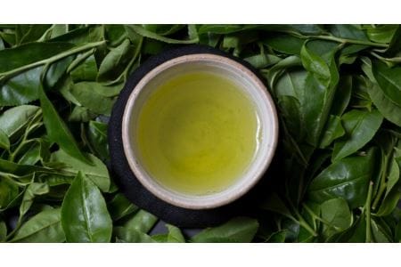 有機緑茶を飲み比べ!髙橋製茶の「みのりの茶」ギフトセット