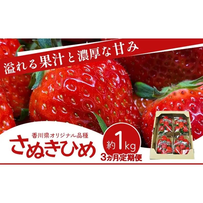 いちご さぬきひめ 香川県産 いちご【1kg】【3ヶ月定期便】