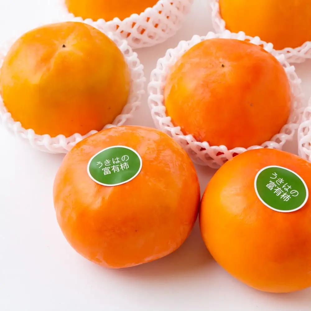 【先行予約】原茂之巨峰園 特撰 富有柿 大玉(3L) 8玉から9玉 2025年11月中旬から11月下旬 出荷予定