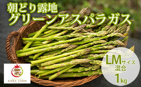 【2027年5月より発送】北海道 富良野市産 アスパラ 緑 (サイズ混合) 約1kg (40～58本前後)  朝どり 露地 グリーン アスパラガス 詰め合わせ 野菜 新鮮 数量限定 先着順【藏ファーム】