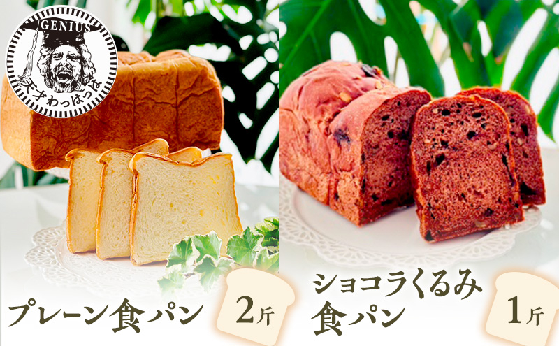 
【ふるさと納税】 プレーン 食パン 2斤 ＆ ショコラ くるみ 食パン 1斤 パン ぱん 食パン ブレッド おいしい 朝食 朝ごはん 朝 数量限定 訳あり ふるさと納税 ふるさと 人気 おすすめ 送料無料 兵庫県 三田市 [№5337-0148]
