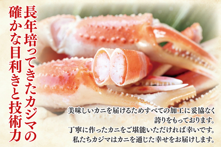 訳あり ボイル 本ずわいがに 総重量 1.2kg ( 内容量 1kg ) 【 数量限定 】 【 工場直送 】 規格外 折れ 足 肩 訳アリ わけあり カジマ ずわい蟹 ズワイガニ かに カニ 蟹 カニ
