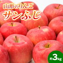 【ふるさと納税】山形のりんご サンふじ 秀品 約3kg(6～12個) FY24-209