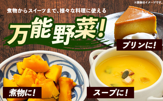 【きあり農園】2026年度 幸手市産 かぼちゃ 約10kg - カボチャ 南瓜 くり大将 くり将軍 産地直送 野菜 ベジタブル 美味しい おいしい 緑黄色野菜 大容量 国産 おすすめ 送料無料 埼玉県