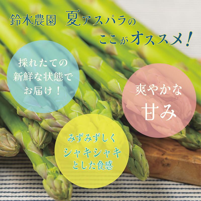 【予約受付中！7月中旬頃発送予定】＜北海道産 夏採れグリーンアスパラ 2㎏＞シャッキリみずみずしい味わい！！_イメージ3