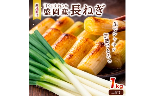 土付き長ネギ 1kg 岩手県盛岡市産 ねぎ 白ネギ 葱 野菜 新鮮 国産 産地直送 農家直送 長持ち 保存 土付きねぎ 土付 白ねぎ ながねぎ 旬の野菜 甘い 美味しい おいしい 鍋 薬味 味噌汁 焼き鳥 炒め物 料理 備蓄 自宅用 産直 厳選 滝澤農園直送 とれたて 岩手県 盛岡市 東北 岩手 盛岡 滝澤農園