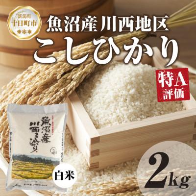 ふるさと納税 十日町市 【令和7年産】 魚沼産 川西 こしひかり 2kg 精米 新潟県産 お米 産地直送 十日町