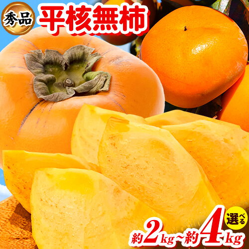 【ふるさと納税】秀品 和歌山秋の味覚平核無柿(ひらたねなしがき) 選べる 約2kg 約4kg 化粧箱入 株式会社魚鶴商店《2026年10月上旬-11月上旬頃出荷》 和歌山県 日高町 柿 カキ かき たねなし ジューシー フルーツ