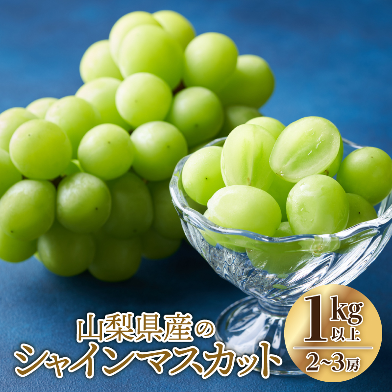 【総合1位獲得!!】〈2026年度配送分〉山梨県産 シャインマスカット 2～3房（1.0kg以上）