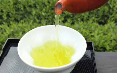 お茶 熱湯OK 生産者直送 深蒸し茶 たっぷり 1キロ お茶