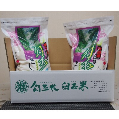 勾玉米(こしひかり・精米)24kg(3kg×8袋)【1713445】