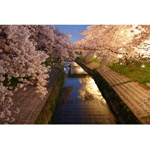 【返礼品なし】ふるさと大和高田応援寄附金　1口:20,000円