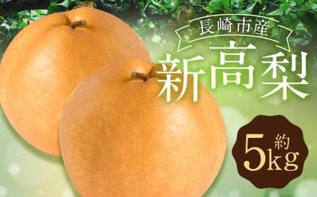 新高梨 5kg 【2026年9月上旬～10月上旬迄発送予定】 梨 なし 和梨 果物 果実 フルーツ 国産 九州 長崎県 長崎市 常温 オンライン決済限定