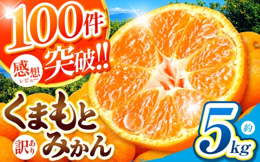 訳あり 大玉 くまもと みかん 約 5kg | 果物 みかん くだもの みかん フルーツ みかん 柑橘 みかん 柑橘類 みかん ミカン 家庭用 みかん 熊本県 みかん 玉名市 みかん