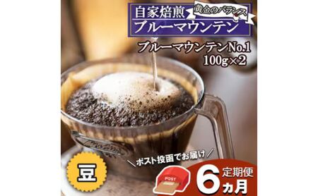コーヒー ブルーマウンテン ストレート 豆 コーヒー【ポスト投函】【定期便 全6回】