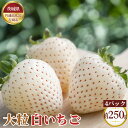 【ふるさと納税】No.345 【先行予約】お歳暮　白いちご　大粒　約250g（8～12粒）×4pc【茨城県共通返礼品 石岡市】 ／ 旬 新鮮 苺 いちご イチゴ 果物 フルーツ 贈答用 送料無料 茨城県