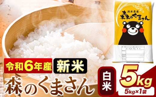 令和6年産 新米  森のくまさん 5kg × 1袋  白米 熊本県産 単一原料米 森くま《11月-12月より出荷予定》《精米方法をお選びください》送料無料