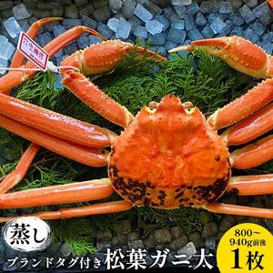 110.【蒸し】 ブランド タグ付き 松葉ガニ  大 800～940g前後 1枚※2026年11月上旬～2027年3月上旬頃に順次発送予定  | カニ 松葉ガニ 蟹