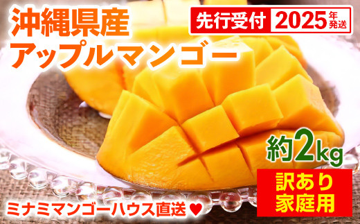 
            【先行受付】【2025年発送・訳あり】ミナミマンゴーハウスのアップルマンゴー約2kg
          