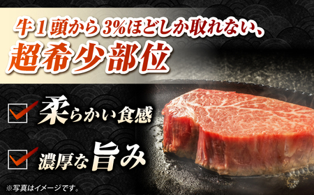 【A4～A5ランク】長崎和牛 極上 ヒレステーキ 300g（150g×2枚）《壱岐市》【野中精肉店】 黒毛和牛 牛肉 和牛 赤身 希少部位 22000円 22000[JGC001]