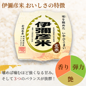 パックご飯 伊彌彦米零玄米パックごはん 皇室献上米 150g入り×12pac | パックご飯 パックごはん 新潟県