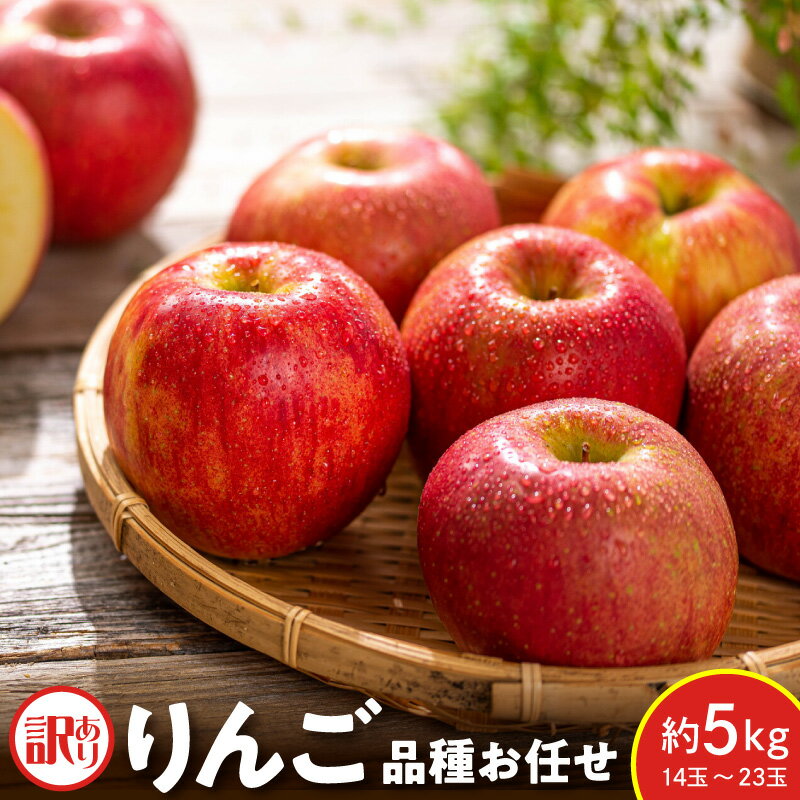 【ふるさと納税】【先行予約】 令和8年産 訳あり りんご 品種 お任せ 約5kg 14玉 〜 23玉 ご家庭用 中生種 涼香の季節 昂林 など 2026年10月上旬〜下旬頃 お届け予定 山形県 米沢市