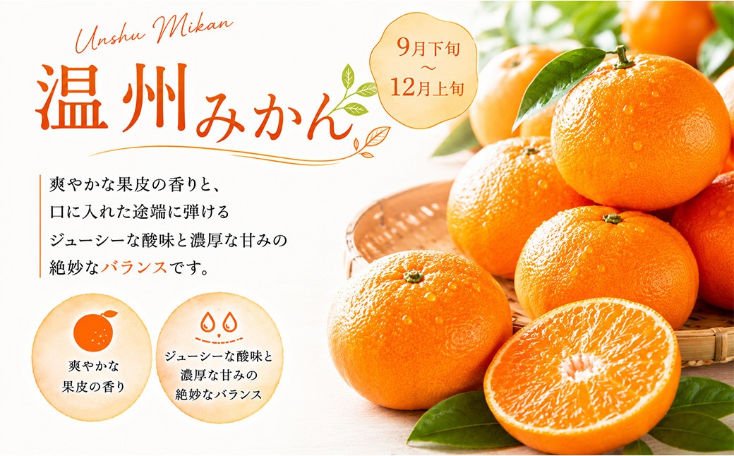 大分県産旬のフルーツ定期便