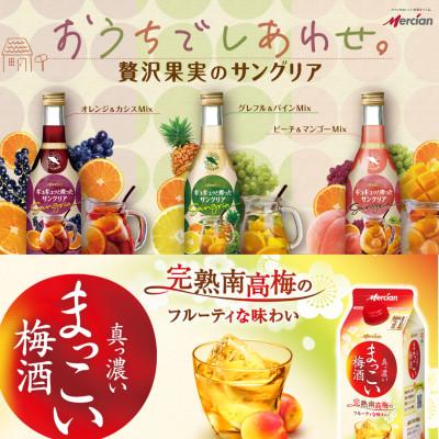 ふるさと納税 藤沢市 メルシャン藤沢工場醸造、お楽しみワインと梅酒・果実酒　5本セット |  | 03