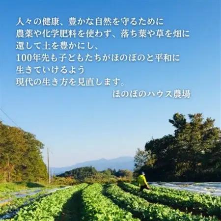 【畑から直送】岡山美作産　旬を楽しみ味覚を育む野菜約8種(約5kg)_野菜 玉ねぎ  たまねぎ タマネギ  野菜 じゃがいも いも ジャガイモ 馬鈴薯  野菜 さつまいも いも サツマイモ 薩摩芋  