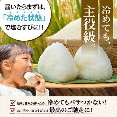 ふるさと納税 亀岡市 【令和7年産】産地直送 京都丹波産コシヒカリ 10kg 精米したてのお米をお届け |  | 01
